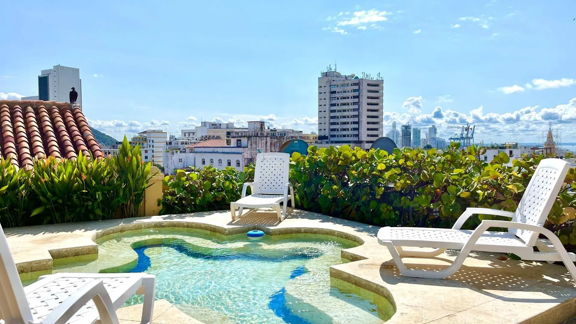 公寓 By Calamari Homes - El Porvenir 206 Walled City Cartagena 哥伦比亚